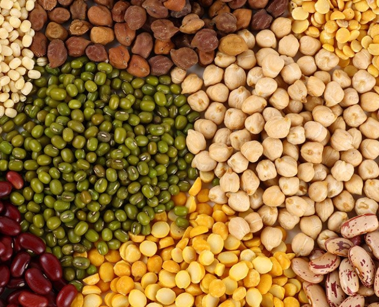 Pulses – Saisha General Trading L.L.C – Dubai